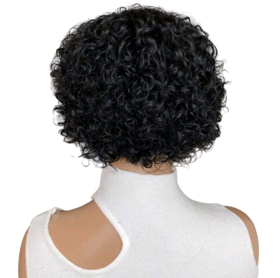6inch Short Wig, Curly Human Hair Wigs For Women 13x4x1 Front Lace