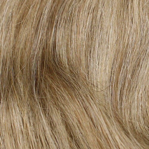 CHRISTINA PETITE WIG WIGPRO REMI HUMAN HAIR ALL HAND-TIED FULL LACE COLOR 18/22