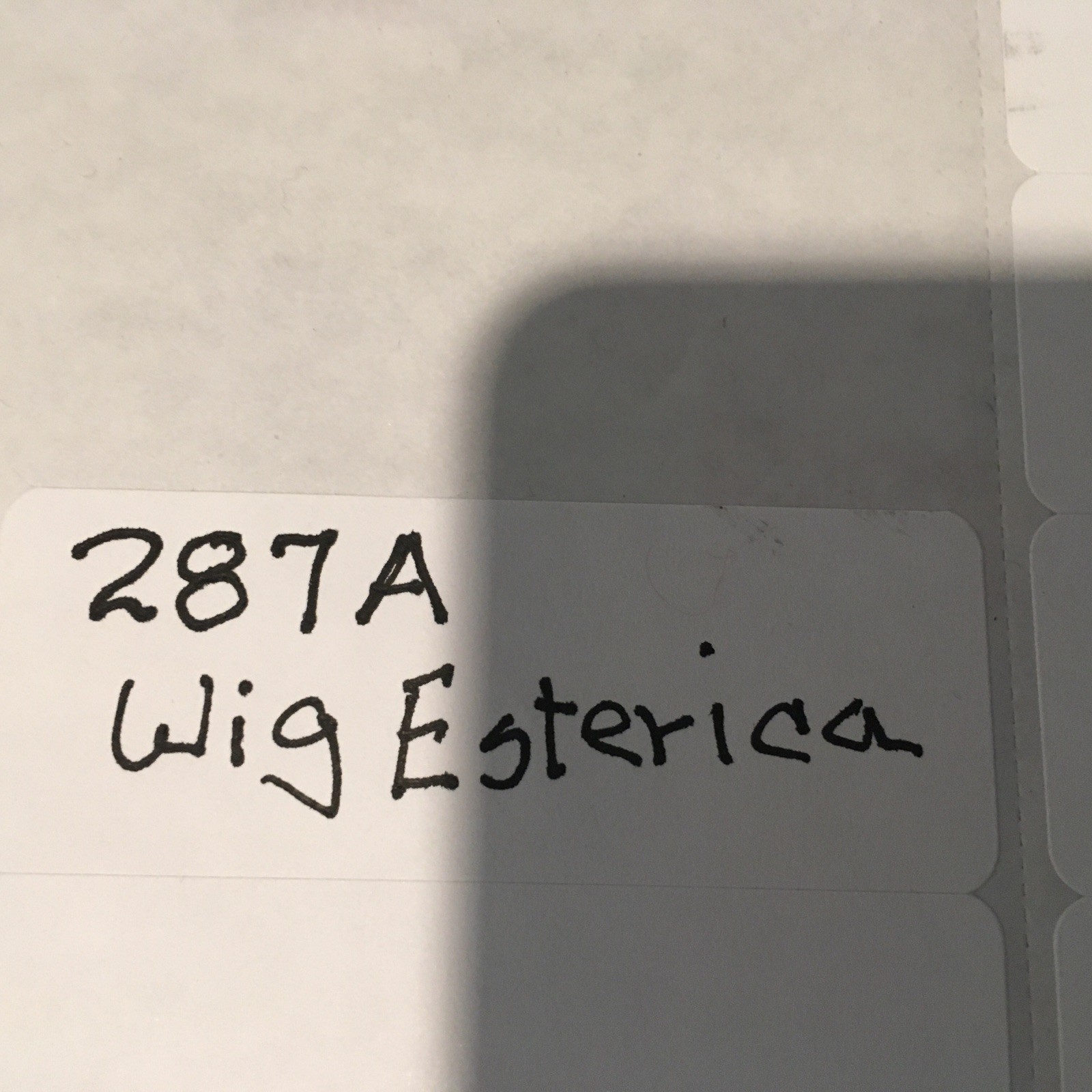 Estetica Wefted Light 3-Tone Grey Blend Synthetic Wig + Wig Care Items (Vikki?)