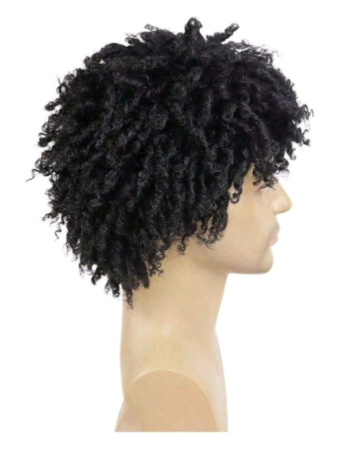 Short Dreadlock Wig For And Men Afro Faux Locs Dreads Wig Heat Resistant Short B