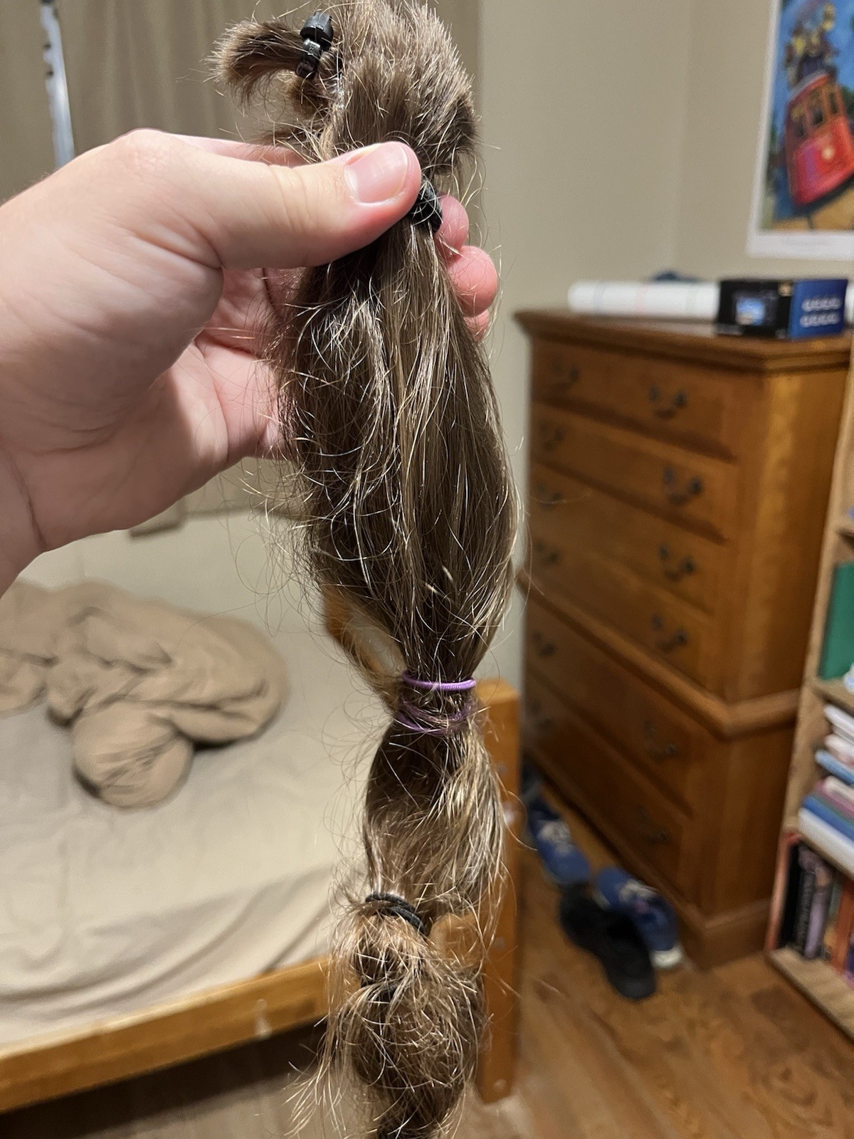 natural untreated medium/dark blonde hair, 11-12inch long, 3inch diameter