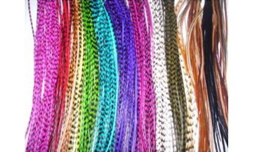 8″-12″ Multi Color W/natural Colors Feathers Hair Extension -7 Feathers