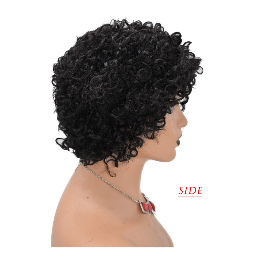 Kinky Curly Afro Wig Short Human Hair Wigs for Black Women Brazilian Natural US