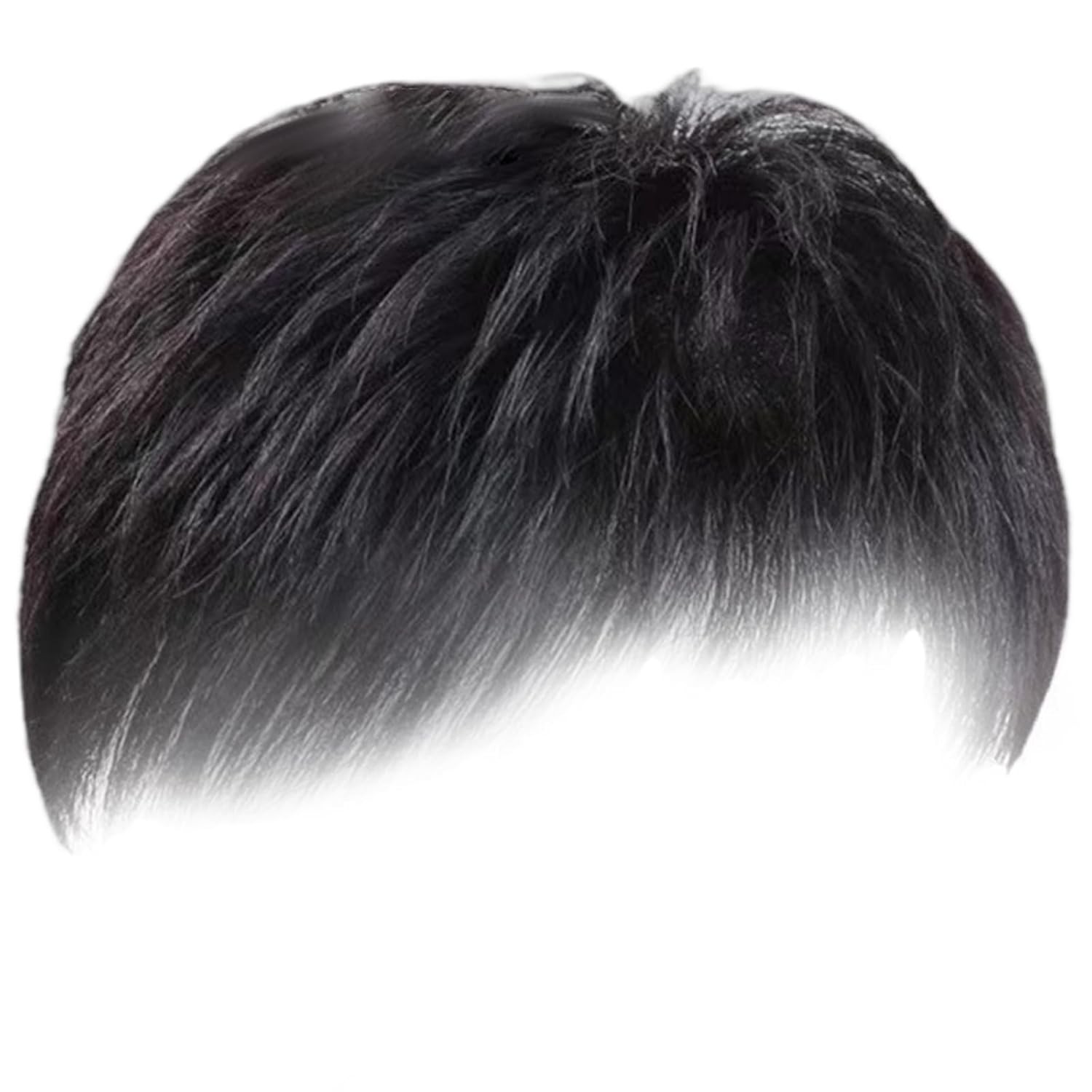 Straight Short Black Wigs Hair Pieces Short Wig w/ Bangs Clip-On Wig for Men USA
