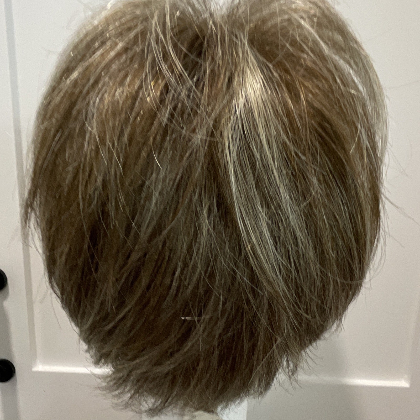 Secret Wigs Selma Synthetic Short Layered Straight Wig Classic Cap Frosted Blond