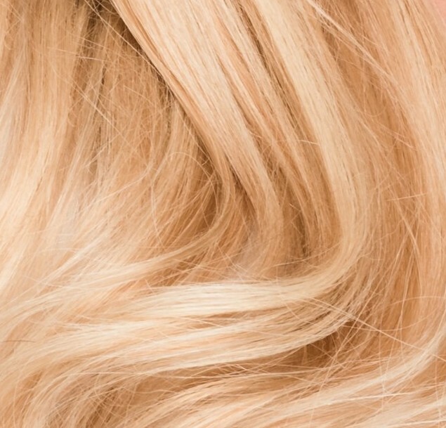 Human Hair Clip In Extensions New Boxd Highlighted Brown Blond 18” LOCKS & MANE