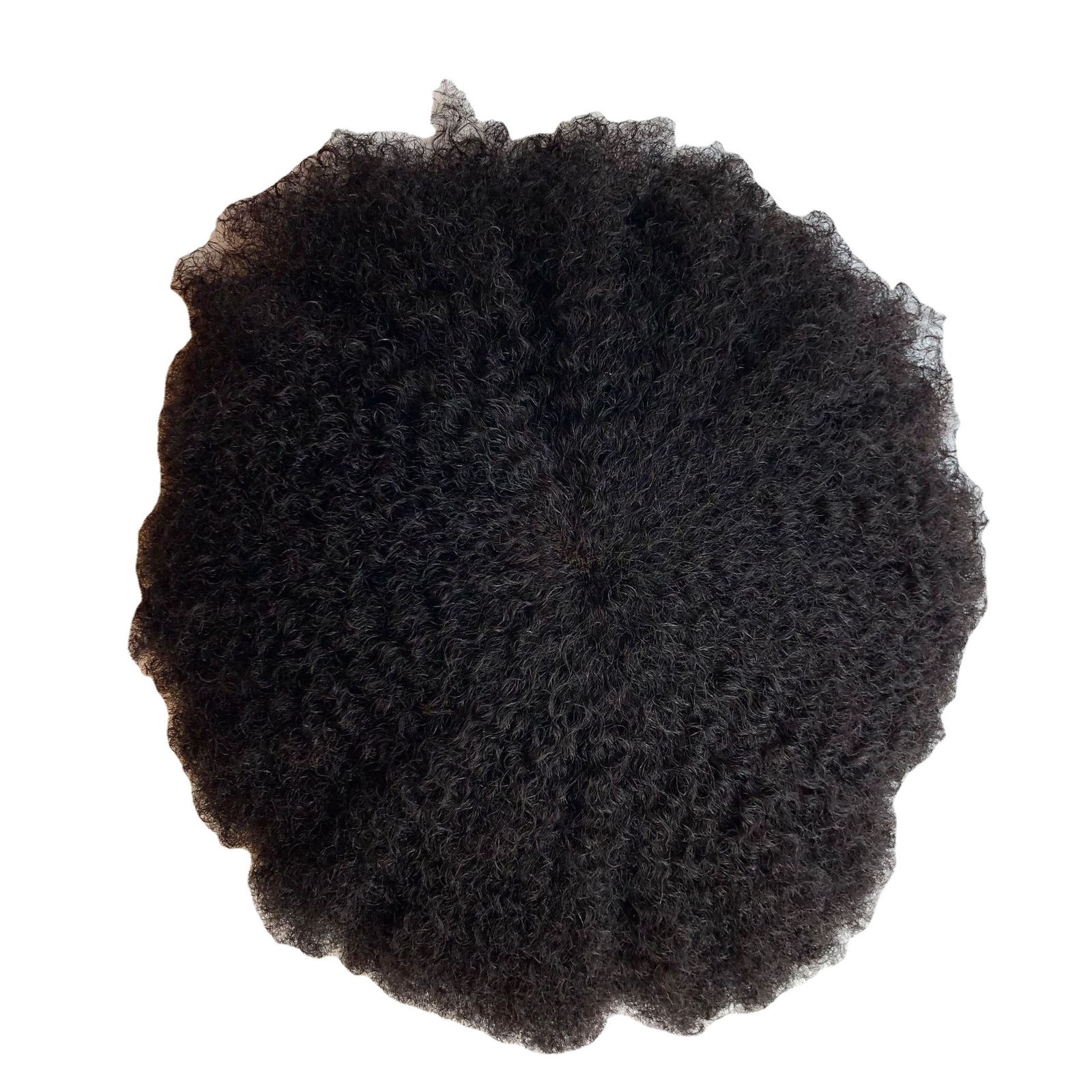 Afro Curly Full Lace Toupee African American Mens Toupee Human Hair 4mm Afro