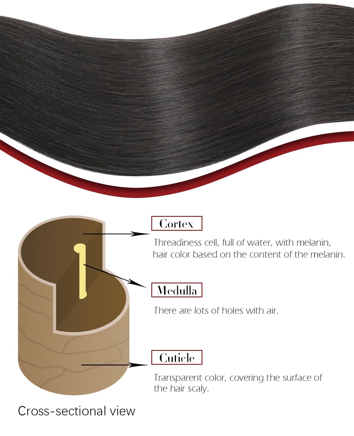 Safireny Clip In Hair Extensions 14 Inch Natural Black Real Human Hair 140G