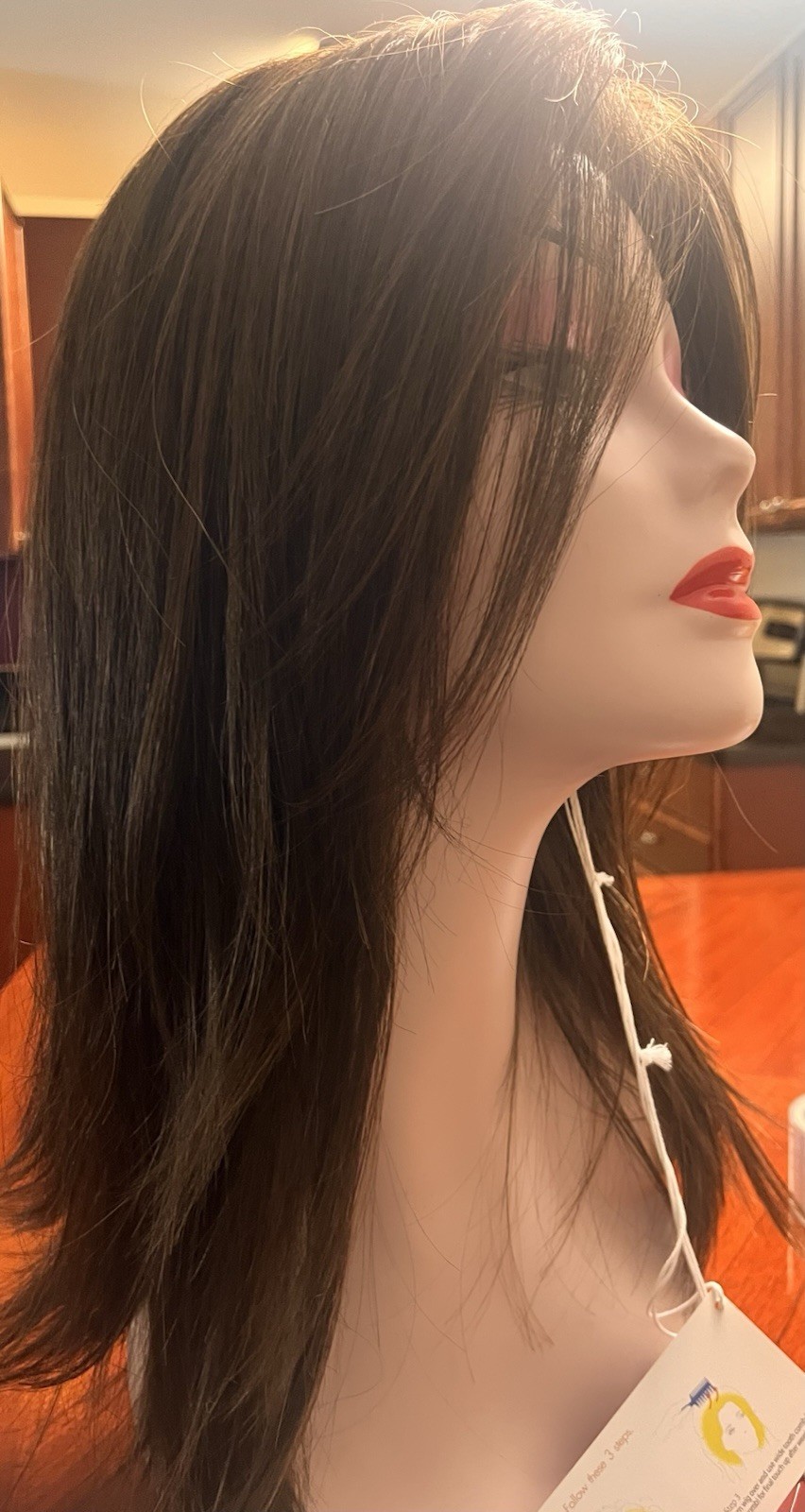 Rene of Paris Laine Wig Ginger Brown Straight Layered Side Part Basic Cap