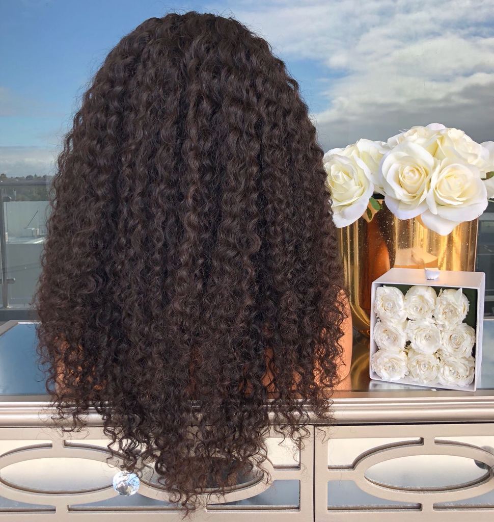 Long Curly Natural Black Lace Front Human Hair Blend Wigs Heat Ok Women Fashion
