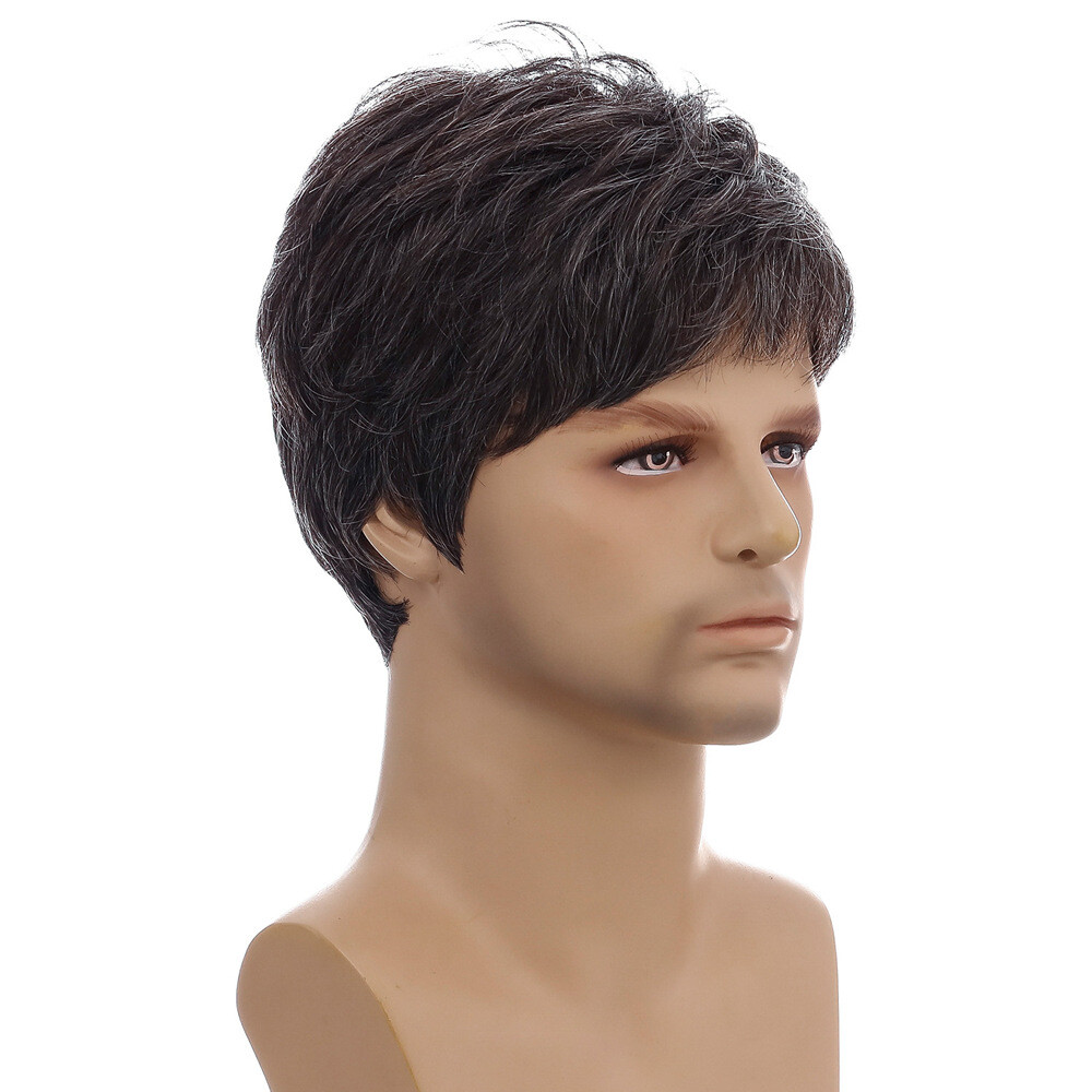 Men Short Black Brown Hair Wigs Synthetic Costume Daily Natural Cosplay Party US
