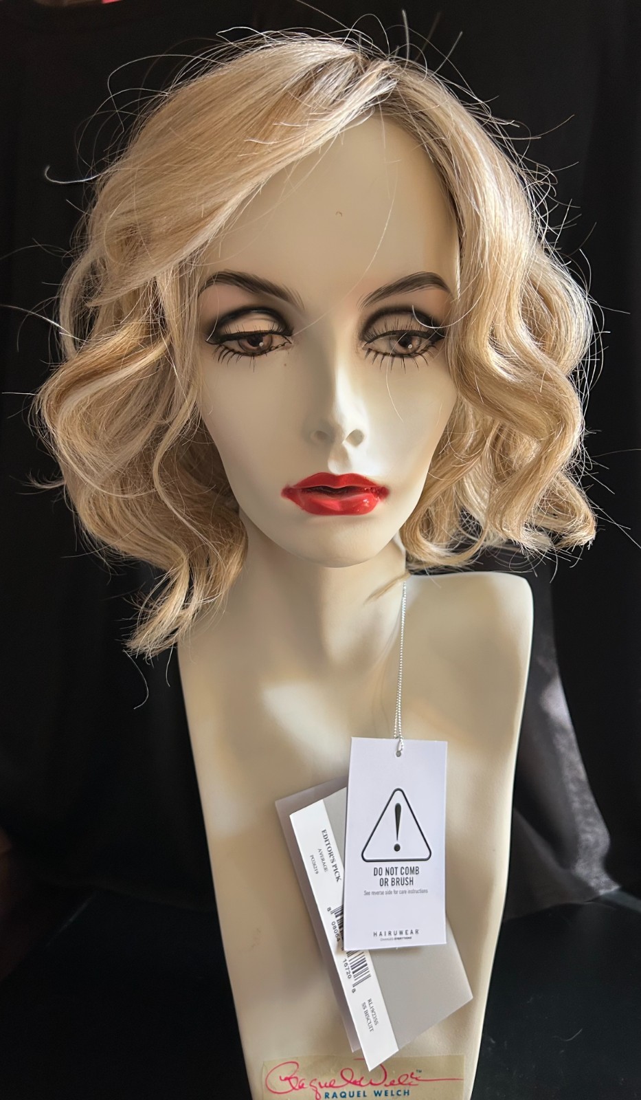 Raquel Welch Editor’s Pick | Synthetic Lace Front Wig (Mono Top) RL19/23SS 🙏