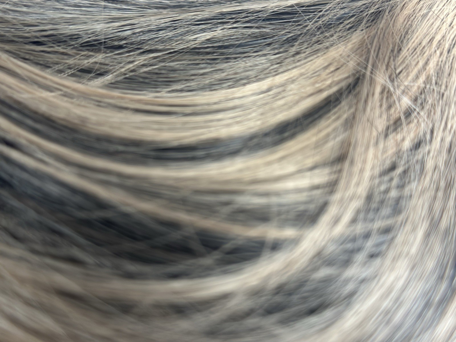 Vigorous Clip-In Synthetic Hair Extension Body Wave Black/Ash Blond 24in
