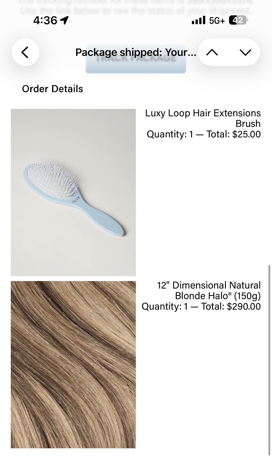 Luxy Hair Halo 12 inch natural blonde and brush