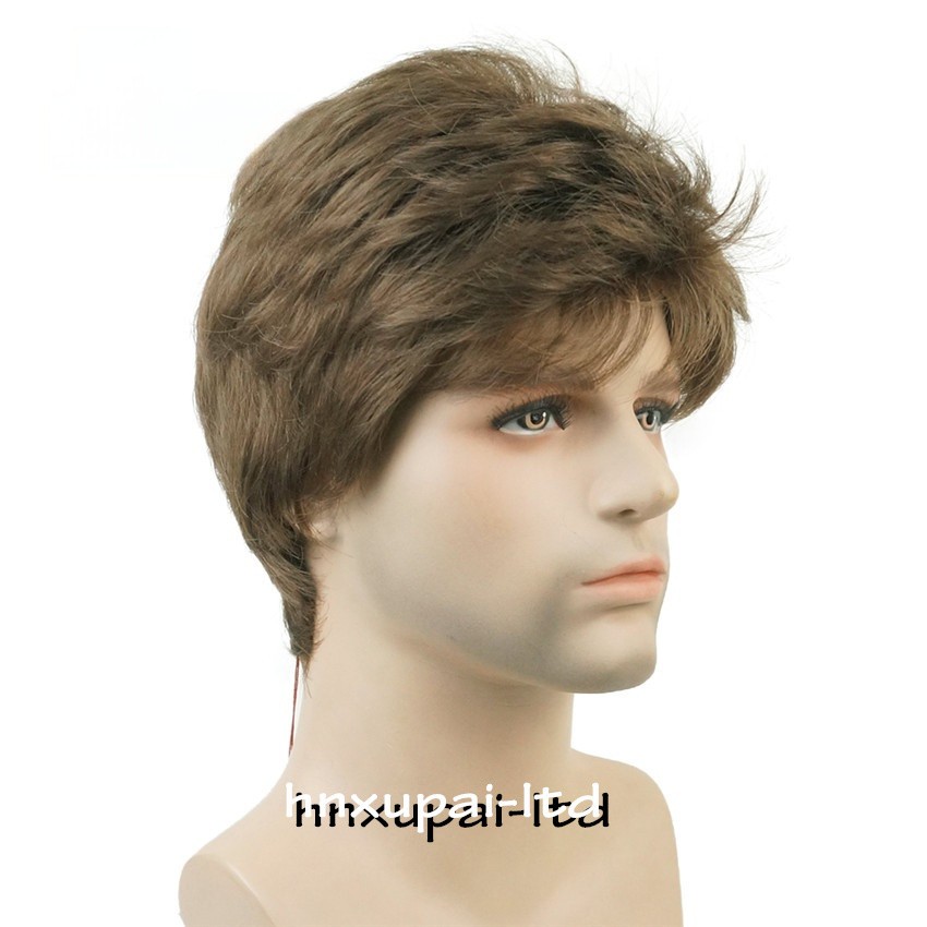 Men’s Black Men Wig Short Full Wigs Little Wavy Synthetic Straight Hair Daily US
