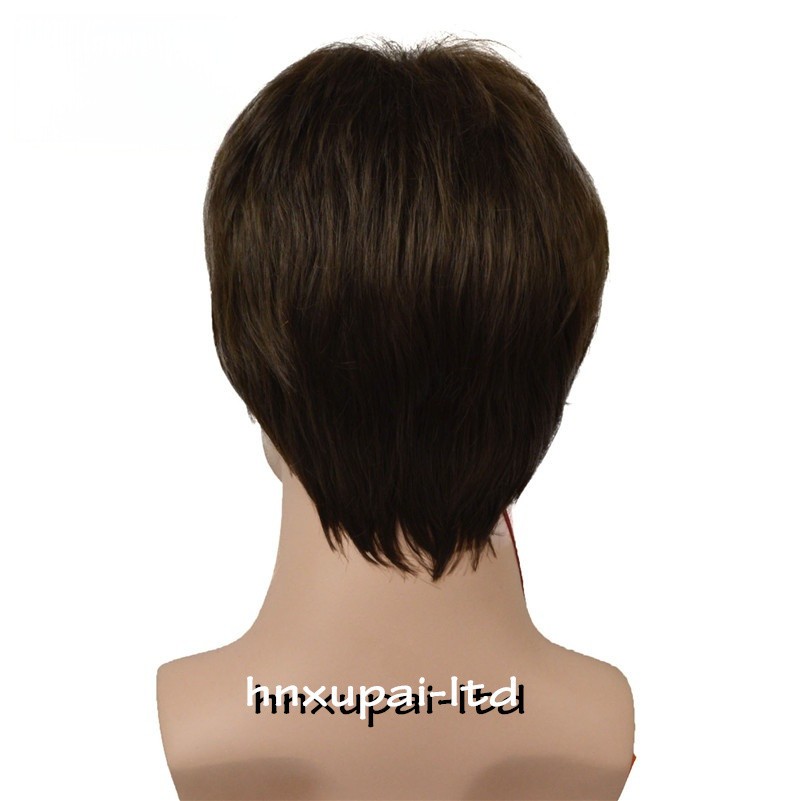Men Male Brown Mixed Blonde Natural Mid Age Short Wig Straight Synthetic Hair
