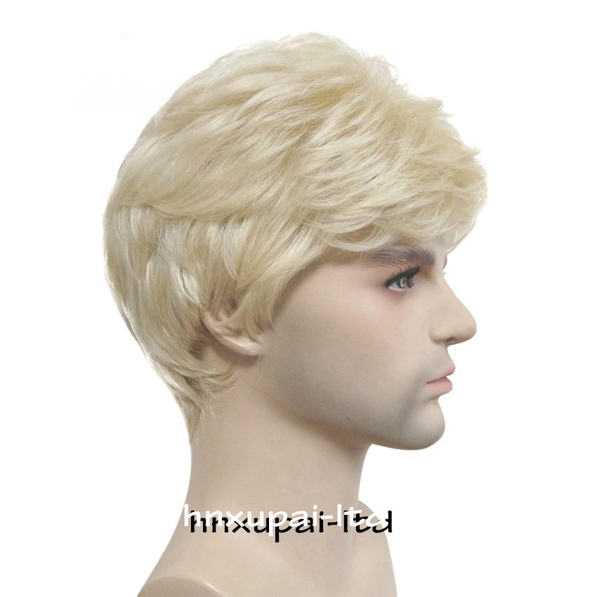 Men’s Black Men Wig Short Full Wigs Little Wavy Synthetic Straight Hair Daily US