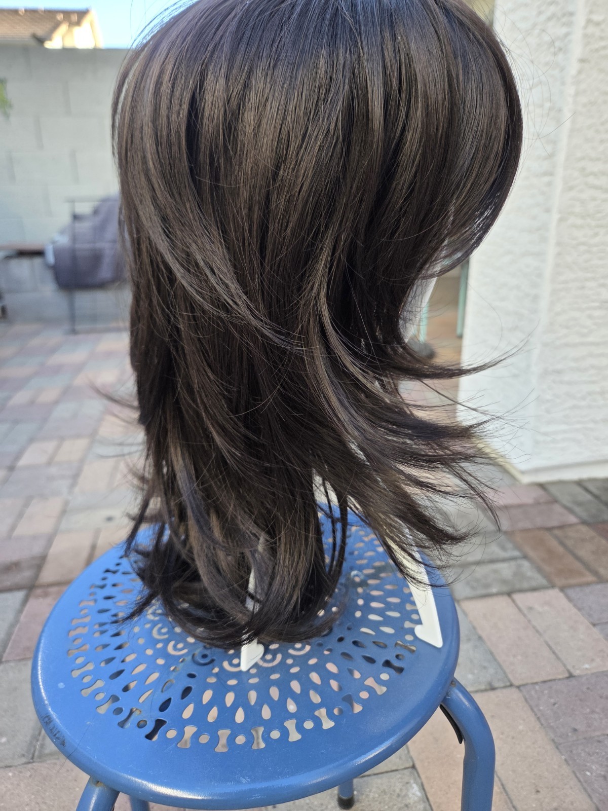 Dark Brown Straight Layered Wig 11-20 in Classic Cap Free-Part One Size