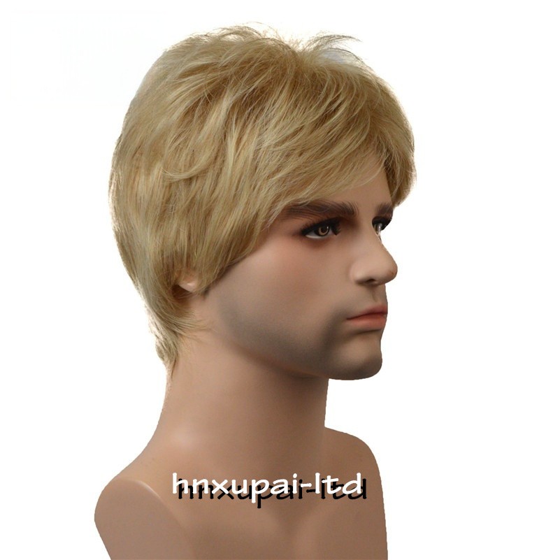 Men Male Brown Mixed Blonde Natural Mid Age Short Wig Straight Synthetic Hair