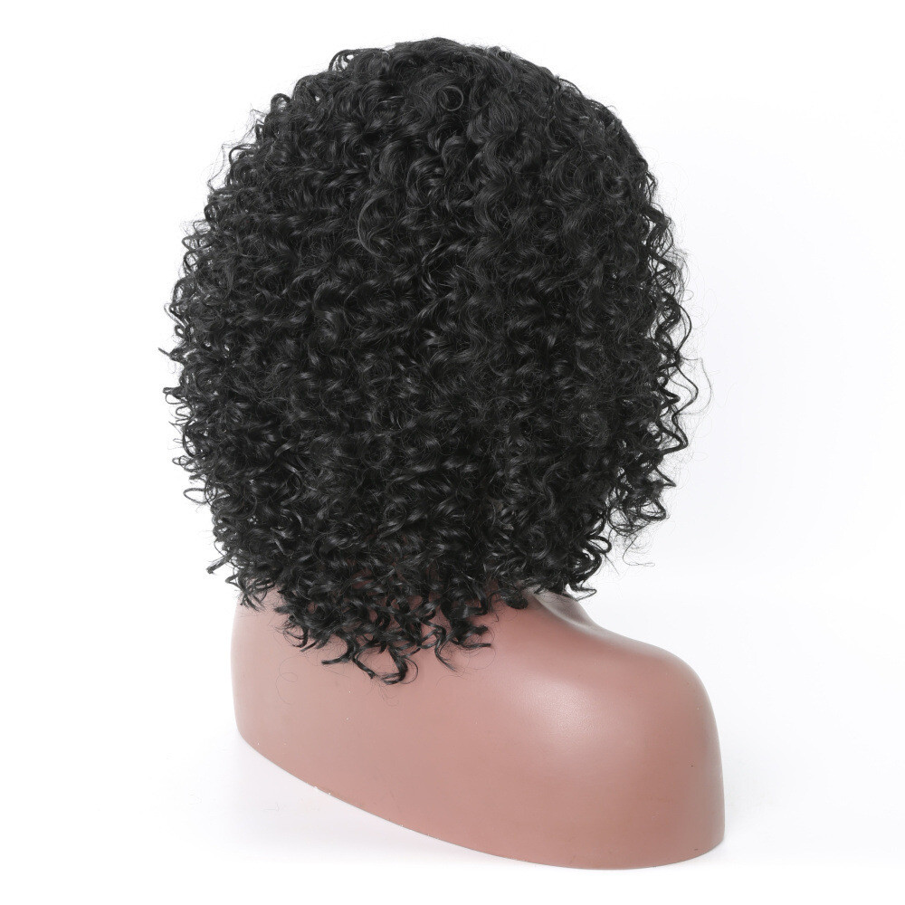 Women’s Curly Wavy Short Wigs Dark Black Ladies Costume Synthetic Hair US SHIP