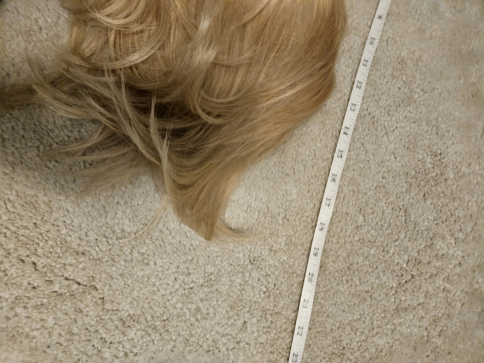 SUPER NATURAL LOOK MIXED BLONDE LAYERED BANGS WIG