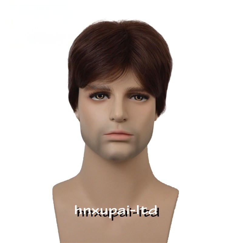 Men Male Brown Mixed Blonde Natural Mid Age Short Wig Straight Synthetic Hair