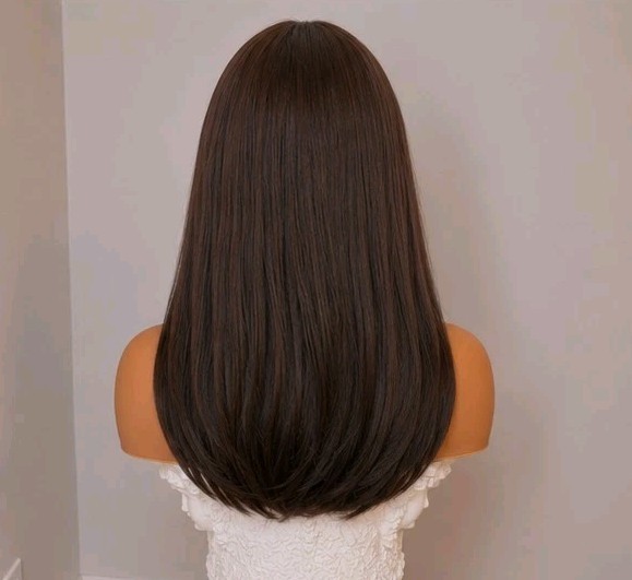 Wig – Human Hair Blend – Long Straight Layered Dark Brown Bangs Heat Resistant