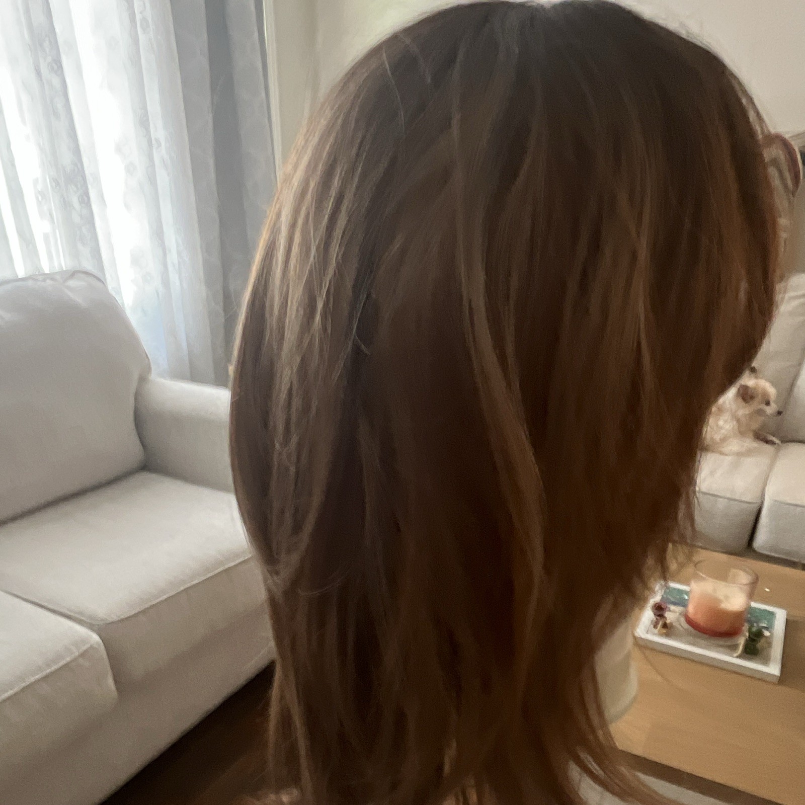 Women Straight Light/Medium Brown Wig with Bangs, Natural Theme