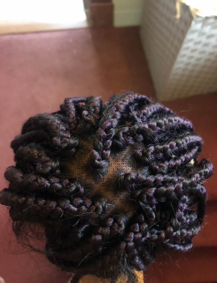 Custom Fully hand braided lace closure box braid wig baby hair color purple 28in