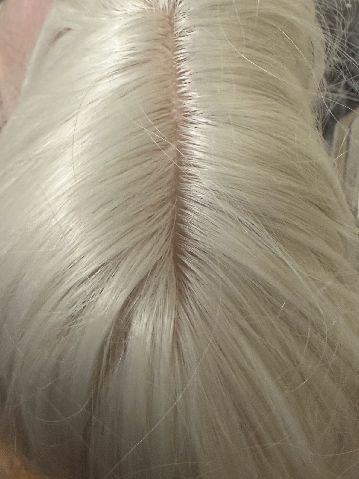 Focus Queen Beauty 26 in Platinum Blond Synthetic Wig Classic Cap Middle-Part