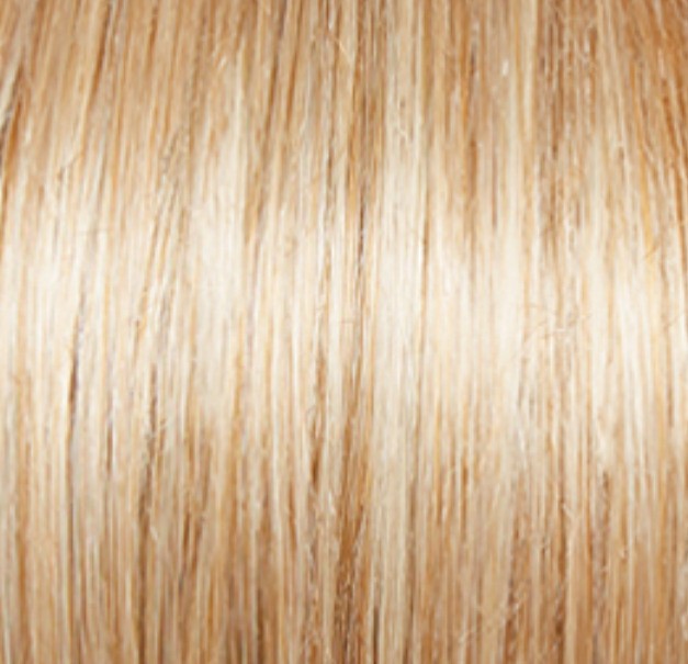 Eva Gabor Innuendo Wig G20+ Wheat Mist Hair Color All Day Long Wig by HAIRUWEAR