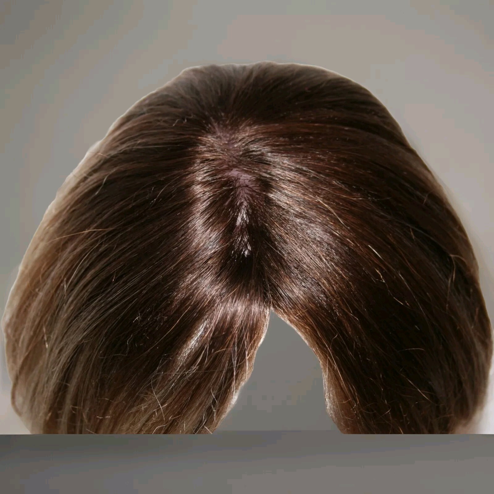EURO JAPANESE FIBER FULL WIG HAIR STRAIGHT BLONDE FROSTED AUBURN BROWN AVERAGE