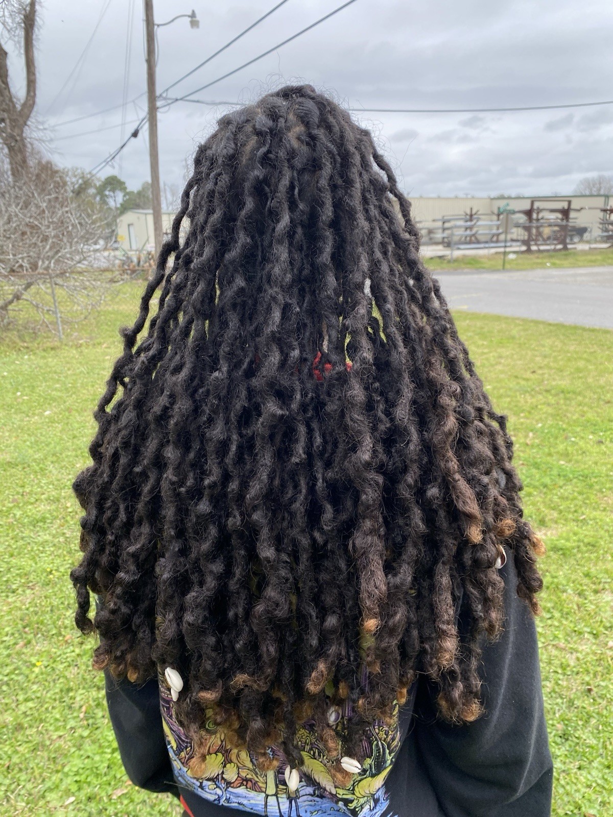 Human Hair Dreadlocks 100% Real 16-19” In Length