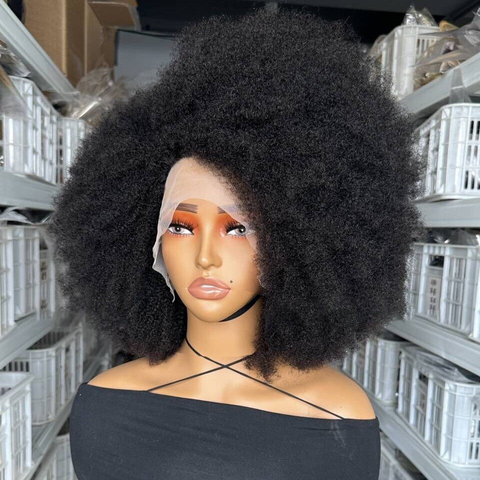 Afro Kinky Curly Human Hair Wig for Black Women 13X4T Lace Front Wigs Side Part