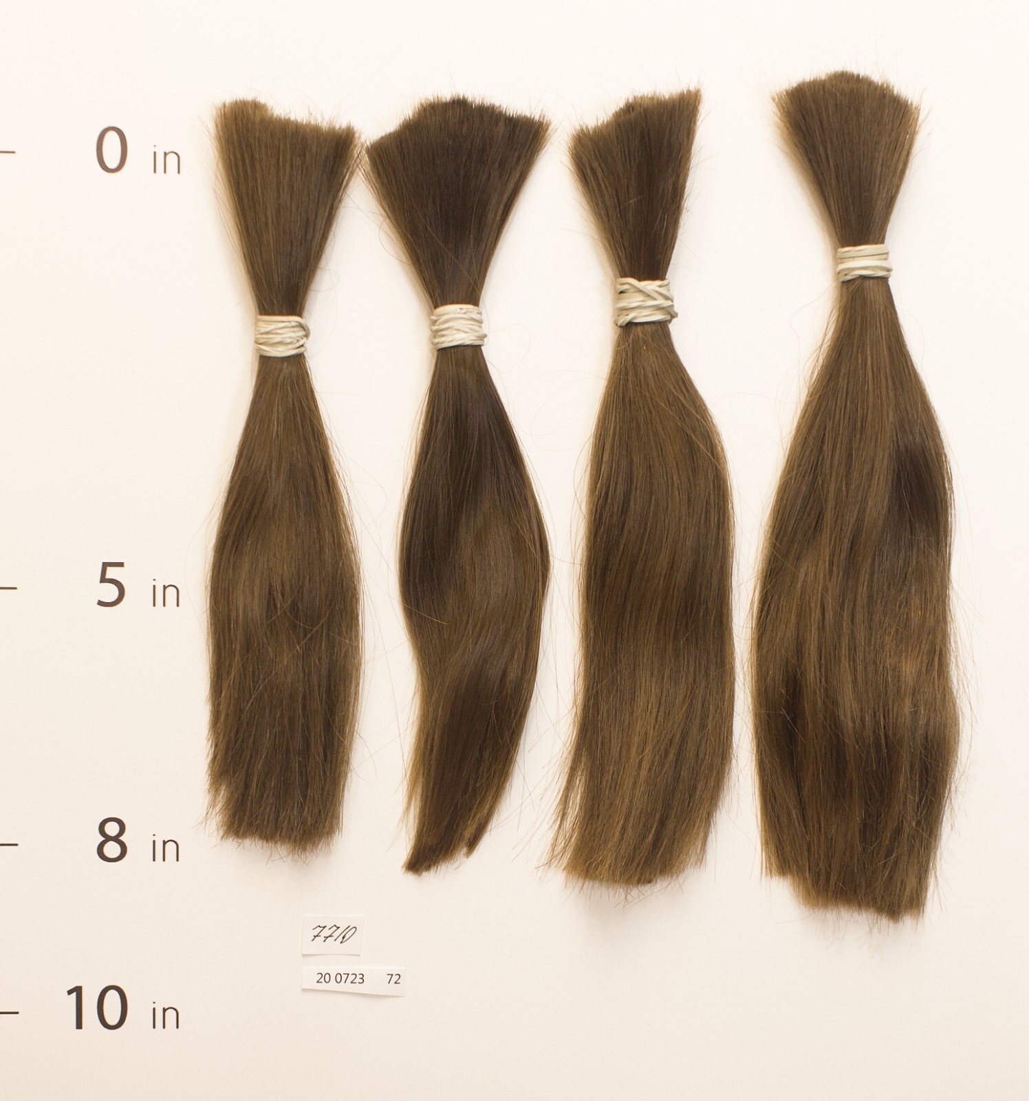 European hair, cut hair, raw hair, Intense Medium Blonde Pure 8”-10”,virgin