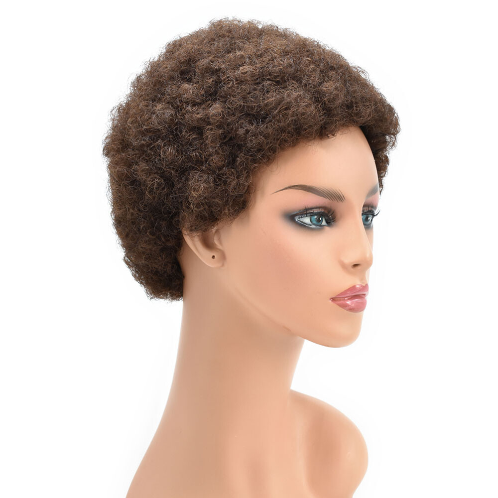 100%Human Hair Wig Short Afro Curly Wigs for Black Women Brazilian Virgin Hair