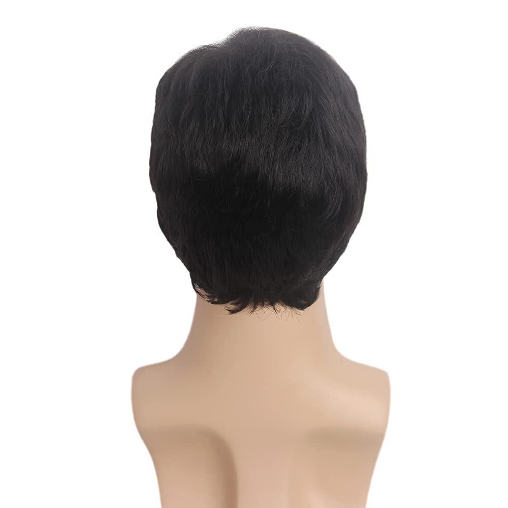 Black Men Wig Short Wigs for Mens Straight Little Wavy Synthetic Layer Hair US