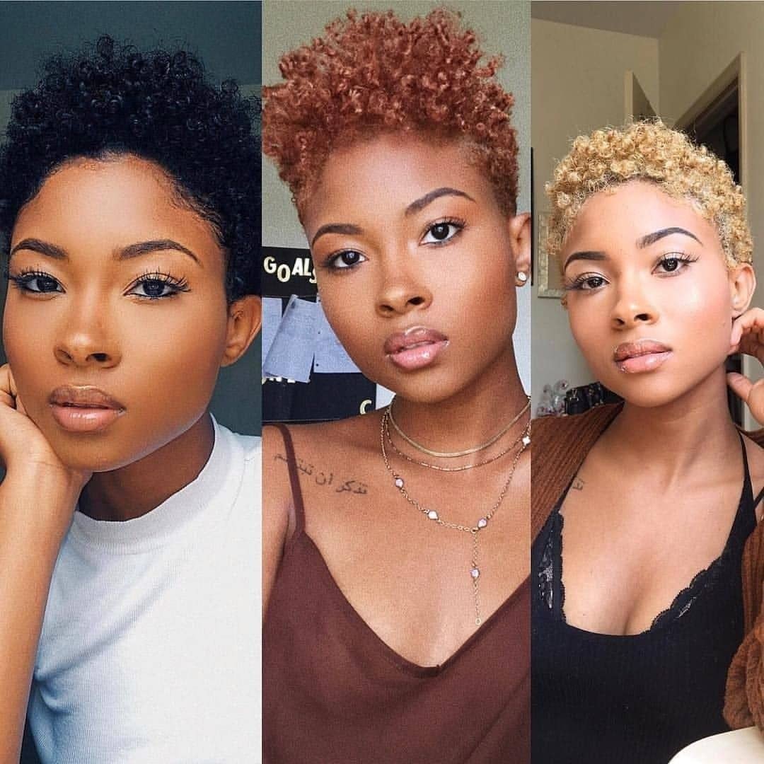 Afro Kinky Curly Human Hair Short Wigs for Women, Full Fluffy Machine Made Wig