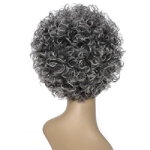 6 Inch Gray Curly Wig Human Hair No Lace Short Mechanized Full Wig