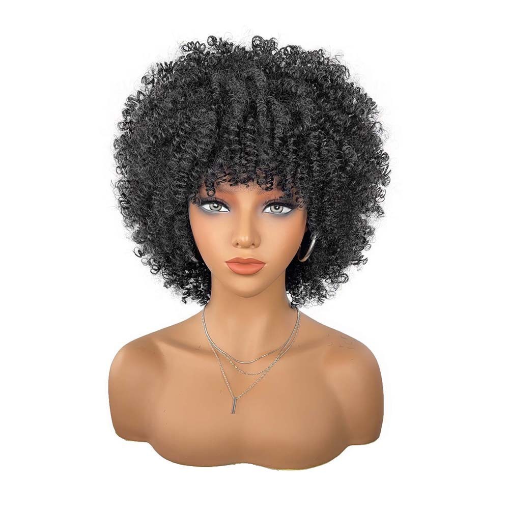 Multi-color Fluffy Natural Afro Kinky Curly High Temperature Synthetic Wig for