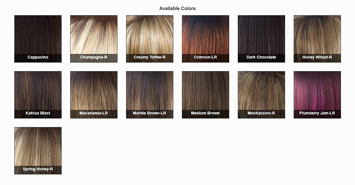 Chocolate Swirl Noriko ANGELICA Partial Monofilament synthetic Wig