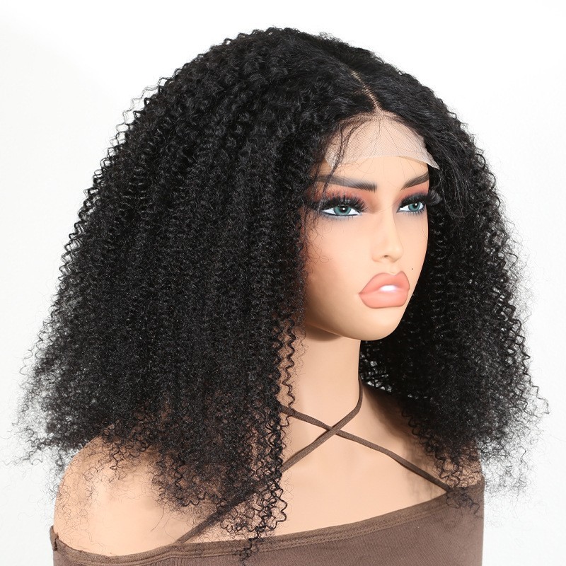 Afro Kinky Curly Human Hair Wig for Black Women 13X4T Lace Front Wigs Side Part