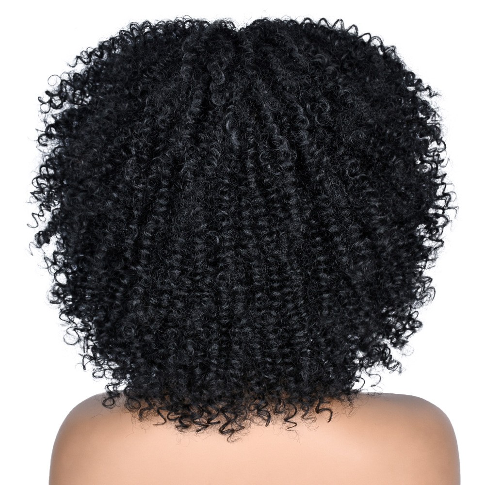 Multi-color Afro Kinky Curly Short Wig Synthetic Full Head Wig For Women