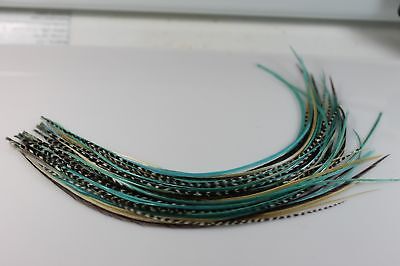 5 Genuine 8-10 Turquoise,brown,white & Grizzly Feathers for Hair Extension