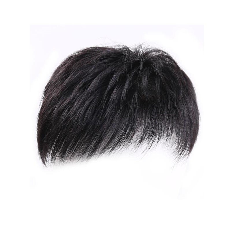 Men Short Synthetic Hair Toupee Clip In Hairpiece Natural Bangs Hair Loss Cover