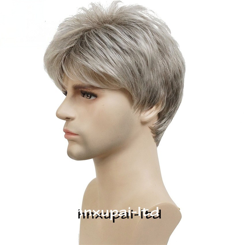 Men’s Black Men Wig Short Full Wigs Little Wavy Synthetic Straight Hair Daily US