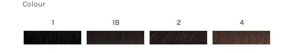 SHAKE-N-GO Saga Gold Remy 100% Human Hair Yaky Weave 10″ #4