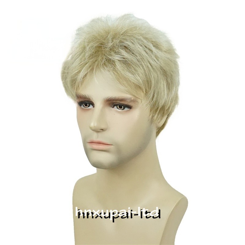 Men’s Black Men Wig Short Full Wigs Little Wavy Synthetic Straight Hair Daily US