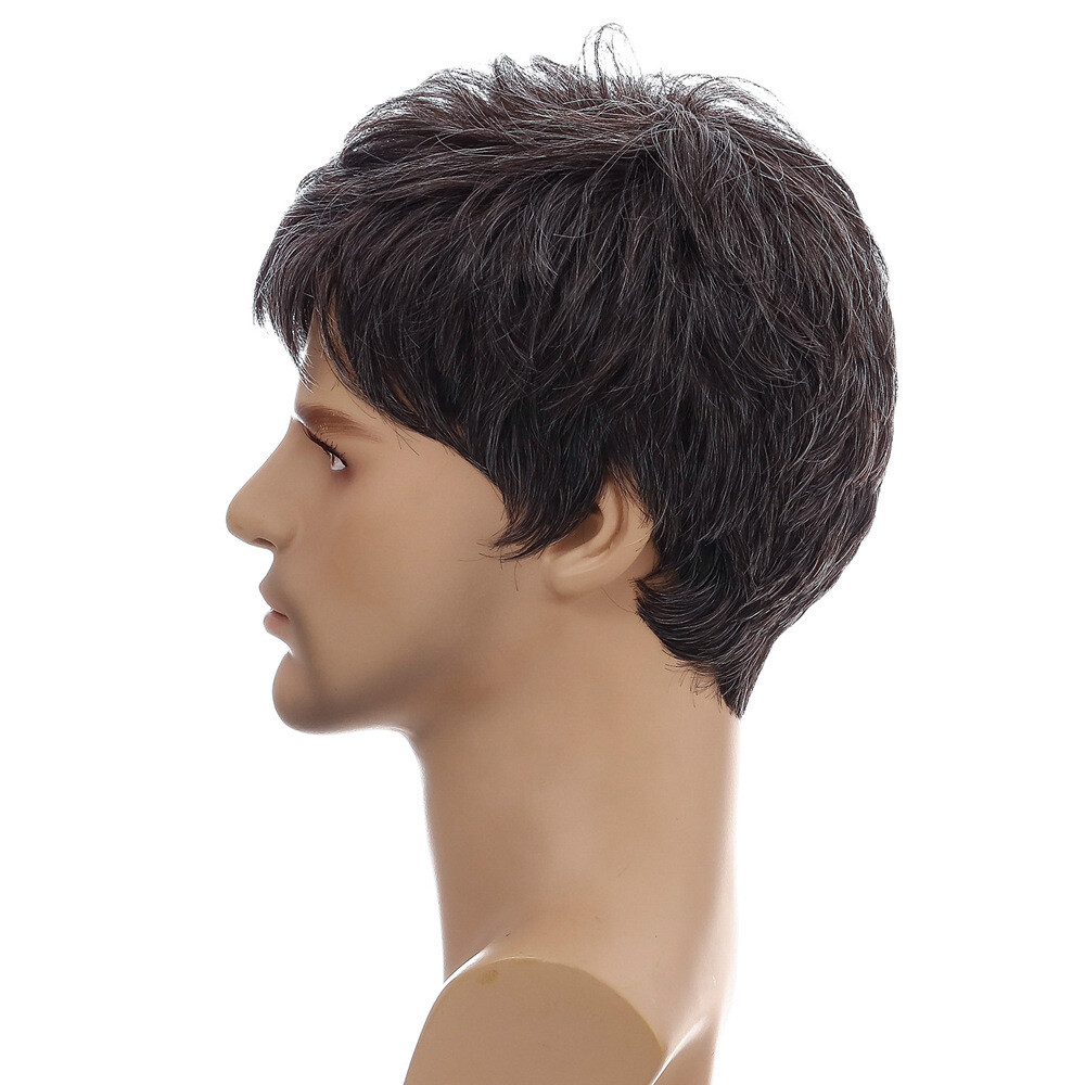 Men Short Black Brown Hair Wigs Synthetic Costume Daily Natural Cosplay Party US