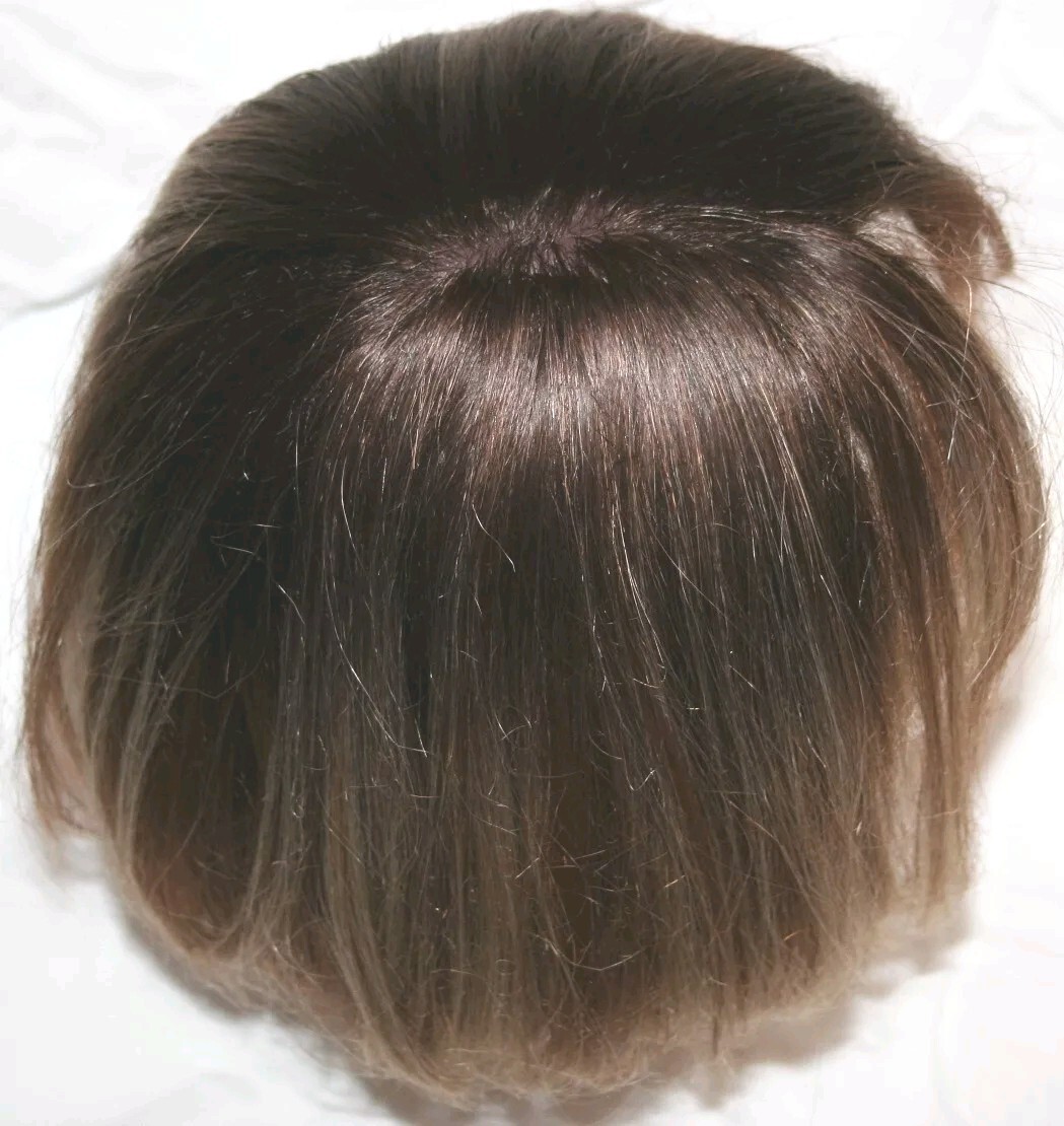 EURO JAPANESE FIBER FULL WIG HAIR STRAIGHT BLONDE FROSTED AUBURN BROWN AVERAGE